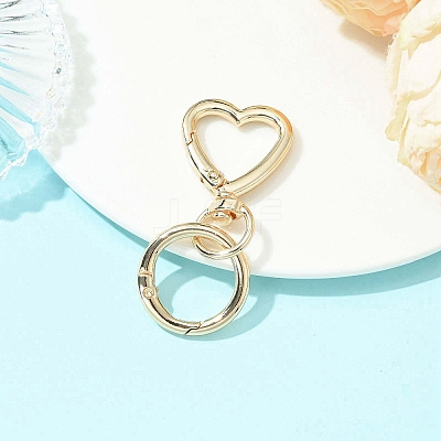 Alloy Swivel Clasps KEYC-JKC01477-02-1