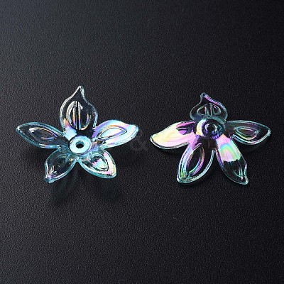 Transparent Acrylic Beads MACR-S373-102-C05-1