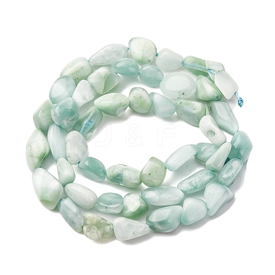 Natural Glass Beads Strands G-K395-A02-01-1