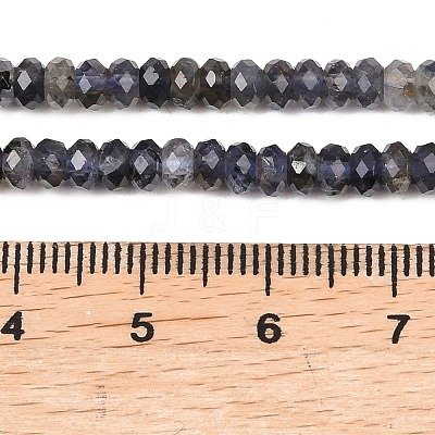 Natural Iolite Beads Strands G-P612-A02-01-1