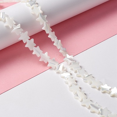 Natural Trochid Shell/Trochus Shell Beads SSHEL-O001-25C-02-1