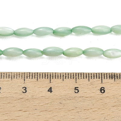 Natural Freshwater Shell Beads Strands X-SHEL-C010-01A-1