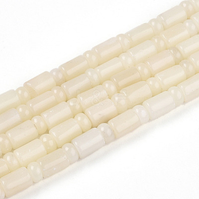 Natural White African Opal Beads Strands G-N346-03A-10-1