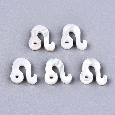 Natural White Shell Beads X-SSHEL-ZX004-02J-1