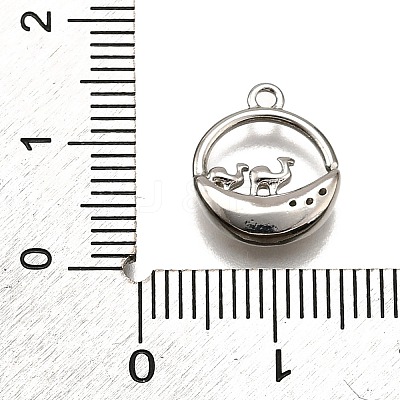 Brass Micro Pave Clear Cubic Zirconia Pendants KK-G530-01B-P-1