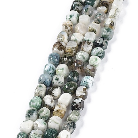 Natural Tree Agate Beads Strands G-C038-02O-1