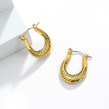 304 Stainless Steel Hoop Earrings IO9179-3-1