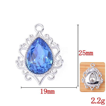 Glass Rhinestone Pendants FIND-WH0021-91S-014-1