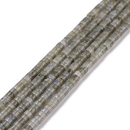 Natural Labradorite Beads Strands G-P468-16-1