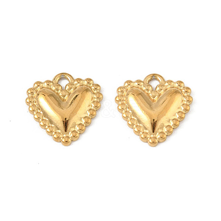 304 Stainless Steel Charms X-STAS-P396-06G-1