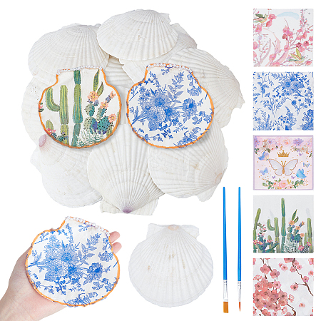 Natural Shell Display Decorations DIY-NB0014-92-1