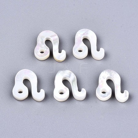 Natural White Shell Beads X-SSHEL-ZX004-02J-1