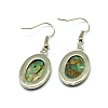 Abalone Shell/Paua ShellEarrings EJEW-N001-11-2