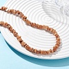 Dyed Natural Freshwater Shell Nuggets Beaded Necklaces NJEW-JN05580-02-3