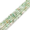 Natural Chrysoprase Beads Strands G-K315-A05-1