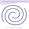 2 Strands Natural Sodalite Beads Strands G-OC0004-85-4