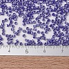 MIYUKI Delica Beads SEED-X0054-DB1569-4