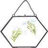 Brass Glass Hanging Photo Frame AJEW-WH0017-27-1