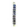 Natural Lapis Lazuli & Electroplated Synthetic Non-magnetic Hematite Heishi Connector Charms PALLOY-JF03291-04-1