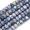 Natural Blue Spot Jasper Bead Strands G-D344-A22-3