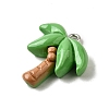 Summer Theme Resin Pendants LS-CRES-D307-09P-C-2