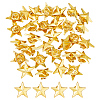 GOMAKERER 30Pcs Zinc Alloy Star Brooch FIND-GO0001-84G-1