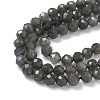 Natural Labradorite Beads Strands G-L622-C03-4mm-4