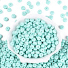 Opaque Baking Paint Glass Seed Beads SEED-N008-03A-07-2