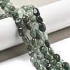 Natural Green Rutilated Quartz Beads Strands G-C179-F07-02-2