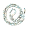 Natural Larimar Beads Strands G-F785-B01-01A-5