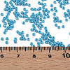 11/0 Czech Opaque Glass Seed Beads SEED-N004-003B-16-6