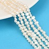 Natural Cultured Freshwater Pearl Beads Strands PEAR-P064-19D-08A-1
