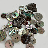 Abalone Shell/Paua Shell BSHE-I011-04A-5