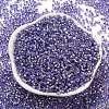 Glass Seed Beads X1-SEED-S042-04A-08-2