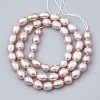 Natural Cultured Freshwater Pearl Beads Strands PEAR-T001-06-2