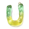 Resin Pendant FIND-Q107-01U-02-1