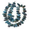 Natural Apatite Beads Strands GG-CBADF20-A08-2