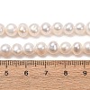 Natural Cultured Freshwater Pearl Beads Strands PA-CBABE82-15F-5