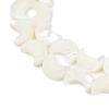 Natural White Shell Beads Strands SSHEL-10X12-2