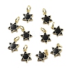 Brass Enamel Charms KK-Z114-13G-1