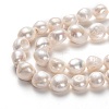 Natural Cultured Freshwater Pearl Beads Strands PEAR-L033-41B-01-2
