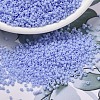 MIYUKI Delica Beads SEED-MY11-DB1587-1