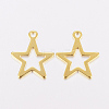 201 Stainless Steel Charms X-STAS-F162-13G-2