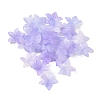 Transparent Acrylic Beads Caps OACR-B022-02A-1