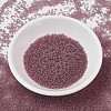 MIYUKI Delica Beads SEED-J020-DB0765-2