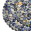 Natural Sodalite Beads Strands G-C116-A80-02-3