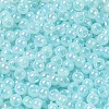 Glass Seed Beads SEED-H002-H-1304-3