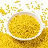 MIYUKI Round Rocailles Beads SEED-G008-RR0404D-2