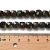 Natural Dragon Blood Beads Strands G-H078-C29-01-5