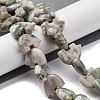 Natural Peace Jade Beads Strands G-F783-G08-01-2